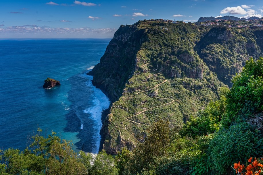 Madera /Shutterstock