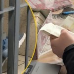 Mafia śmieciowa rozbijana przez policję. Siedem osób zatrzymanych