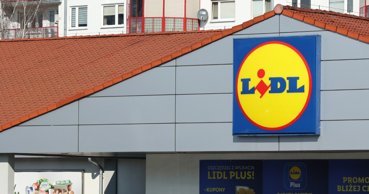 Magazyny pękają w szwach. Lidl pozbywa się towaru za pół ceny /Canva Pro /INTERIA.PL