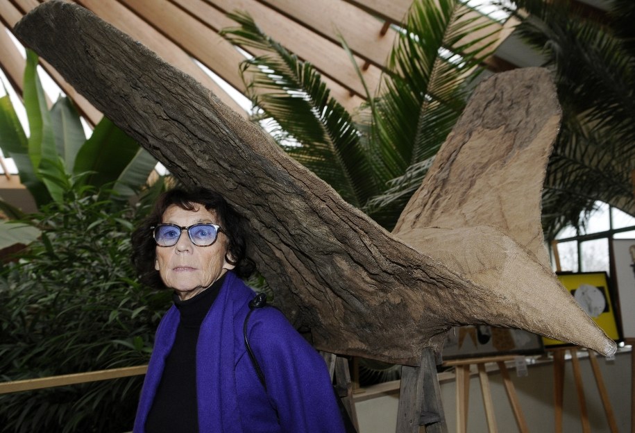 Magdalena Abakanowicz na zdj. z 2010 roku /Andrzej Rybczyński  /PAP