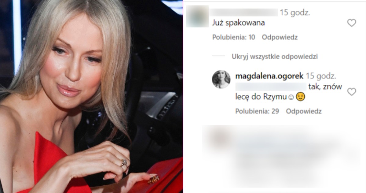 Magdalena Ogórek odpowiedziała komentatorce na Instagramie /Instagram @magdalena.ogorek /AKPA