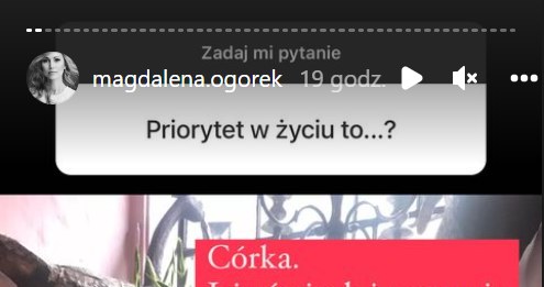 Magdalena Ogórek: www.instagram.com/magdalena.ogorek/ /Screen z InstaStory  /Instagram