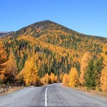 Magia kolorów i niezapomniany road trip. Odkryj Polskę na jesień