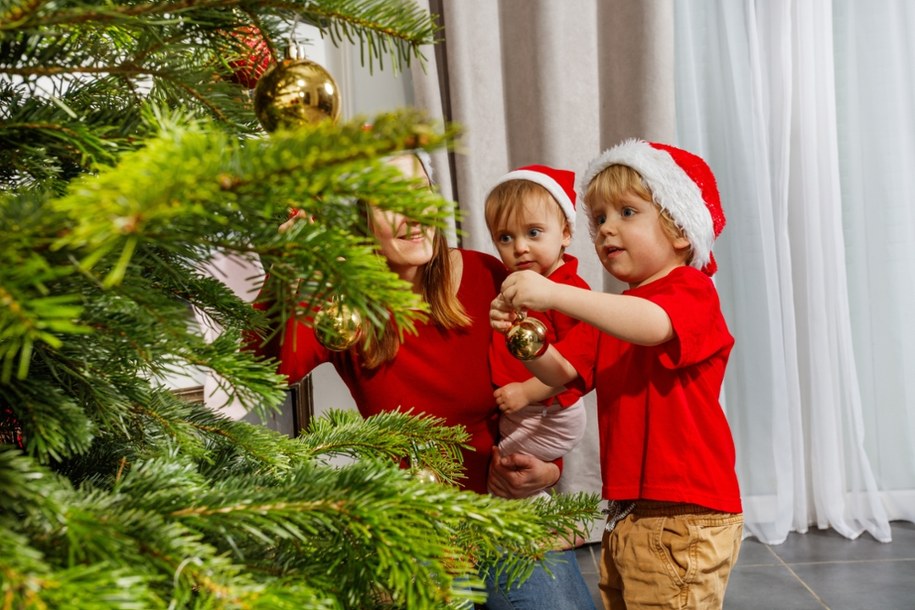 Magia świąt Bożego Narodzenia zaczyna się od wyboru choinki! /Shutterstock