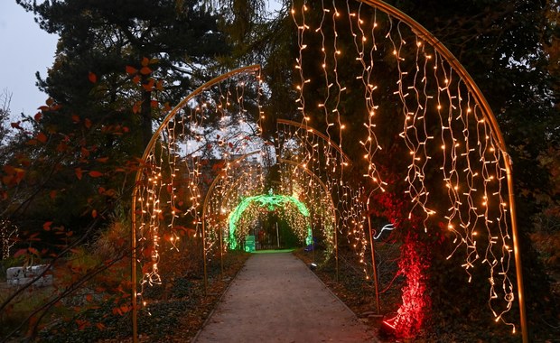 "Magiczny Botaniczny". Świetlna wystawa w Warszawie