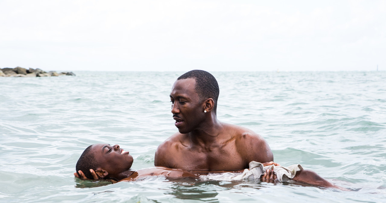 Mahershala Ali w "Moonlight" /materiały prasowe