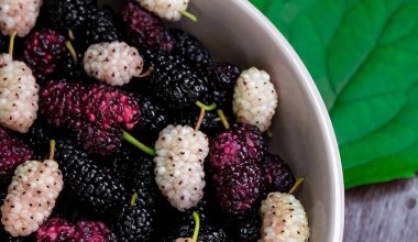 Маємо у достатку, але рідко їмо. Шкода, бо ця ягода добре впливає на роботу серця та зміцнює кістки 