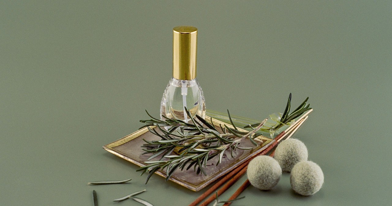 Маєте слабке волосся? Домашній лосйон з розмарином врятує ситуацію /pixabay.com