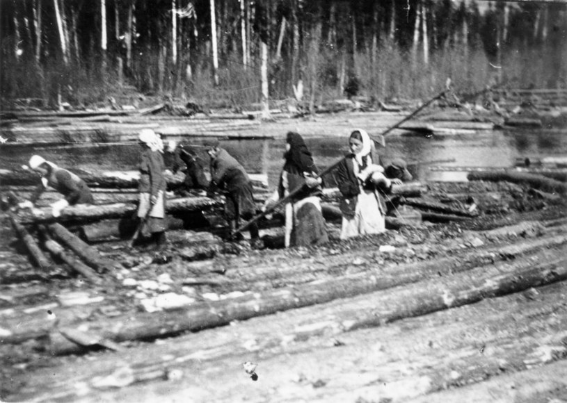 Maj 1941, posiołek Kajgorodek, ZSRR. Deportowani Polacy pracują przy spławie drewna na rzece Sisoła /KARTA /Agencja FORUM