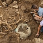 skarb Mają 2 tys. lat. Odkryli ogromne zbiory "wyrafinowanych wyrobów metalowych"