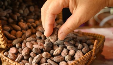 Mają aż 300 składników, które korzystnie wpływają na zdrowie. Chrup jako przekąskę, bo dbają o serce