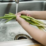 Mają mało kalorii, ale dużo błonnika. Delikatniejsze w smaku i mniej ostre od starszego brata 