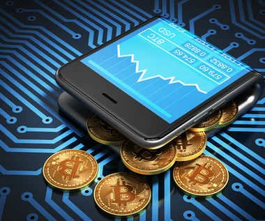 Mają największe zyski z handlu bitcoinami. Nie są to polscy inwestorzy