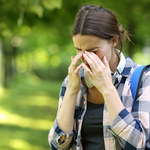 Majówka alergika. Prognoza naszego eksperta 