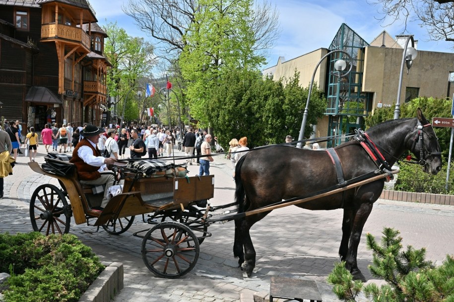 Majówka pod Tatrami rozchwytywana. Noclegi znikają w błyskawicznym tempie! /Pawel Murzyn /East News
