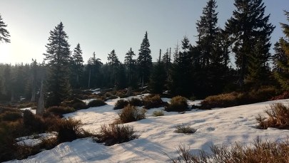 Majówka w Karkonoszach. "Pogoda poprawi się na dwa dni"