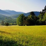 Majówka z dala od miasta i turystów? To miejsce gwarantuje ciszę i spokój 