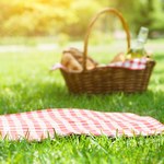 Majowy piknik na trawie 