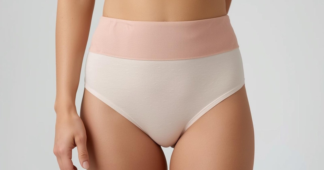Majtki menstruacyjne /Canva /INTERIA.PL