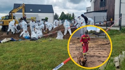Makabra w Lutoryżu. Czy lekarka straci prawo wykonywania zawodu?