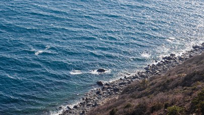 Makabra w obwodzie odeskim. Mężczyzna chciał popływać w morzu, zginął od wybuchu miny