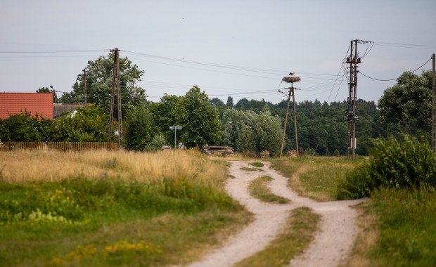 Makabryczna śmierć 48-latka, zagryzły go psy. Jest wyrok dla właściciela zwierząt