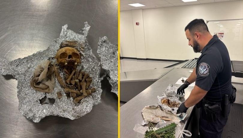 Makabryczne odkrycie celników z lotniska Tampa na Florydzie /X/Director of Field Operations Carlos C. Martel /