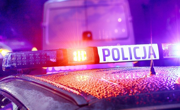 Makabryczne odkrycie. Ludzkie szczątki znalezione w rowie