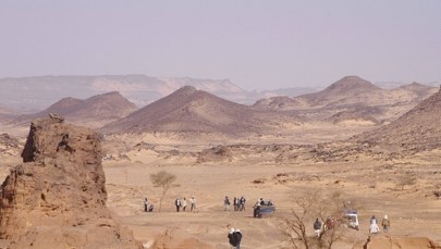 Makabryczne odkrycie na pustyni. Kilkadziesiąt ciał w zbiorowych mogiłach