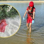 Makabryczne odkrycie nad Wisłą. Plażowicz znalazł w wodzie ludzką czaszkę