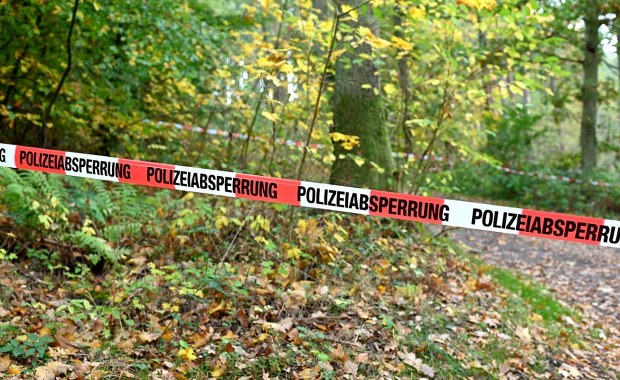 Makabryczne odkrycie w lesie. Matka i dziecko brutalnie zamordowane