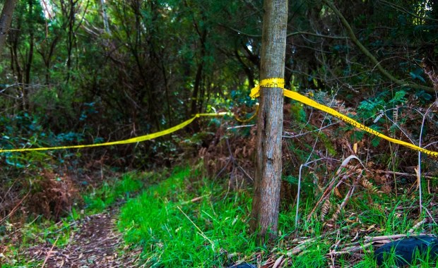 Makabryczne odkrycie w lesie? Policja dementuje doniesienia