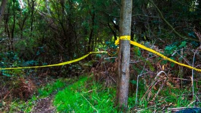 Makabryczne odkrycie w lesie? Policja dementuje doniesienia