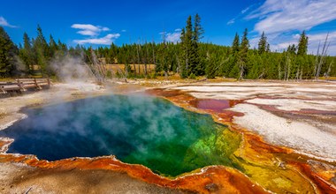 Makabryczne znalezisko w Yellowstone, czyli niebezpieczne gorące źródła
