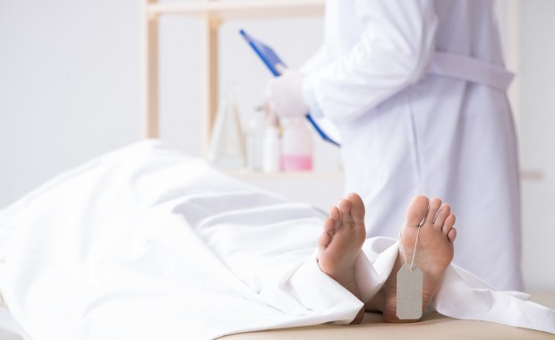 Makabryczny proceder na Harvardzie: Kradzież, sprzedaż zwłok i decyzja sądu