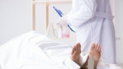 Makabryczny proceder na Harvardzie: Kradzież, sprzedaż zwłok i decyzja sądu