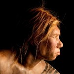 Makabryczny proceder sprzed ponad 50 000 lat. Kanibalizm neandertalczyków