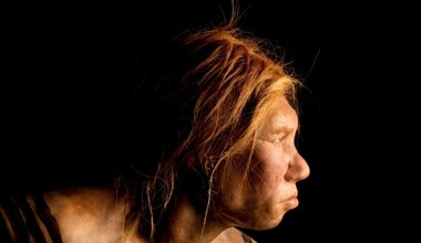 Makabryczny proceder sprzed ponad 50 000 lat. Kanibalizm neandertalczyków