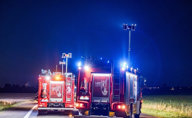 Makabryczny wypadek. Auto wbiło się w kłody drewna, zginęła 11-latka