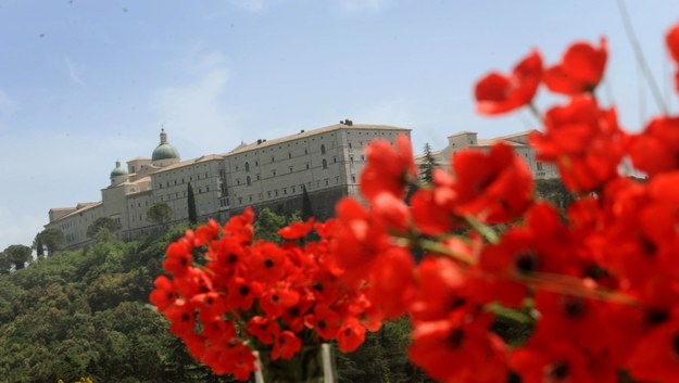 Maki na Monte Cassino /Jacek Turczyk /PAP