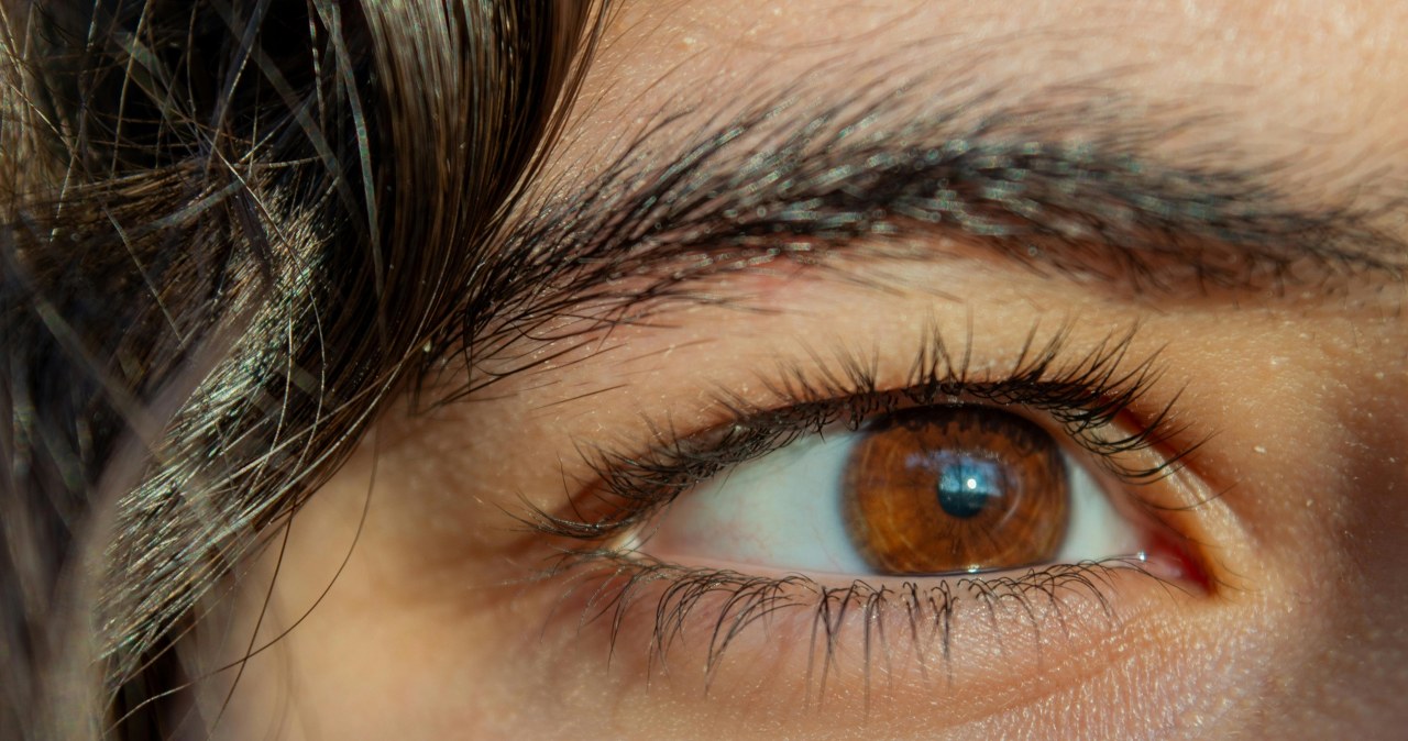 Makijaż przy brązowych oczach powinien mieć dobrane specjalne odcienie i kolory /Mustafa Alkan /pexels.com