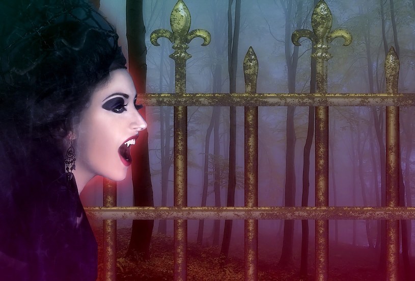 Makijaż wampira na Halloween? To łatwiejsze niż myślisz! /Pixabay.com