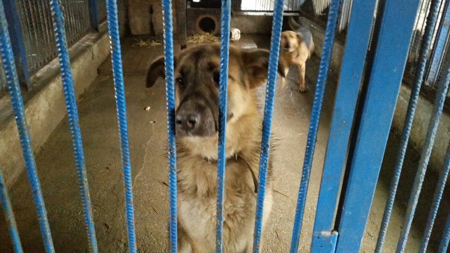 Maksio /Rafał Kwaśny /RMF FM