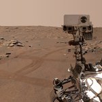 "Małe drzewo" na Marsie. Kolejny sukces łazika Perseverance 