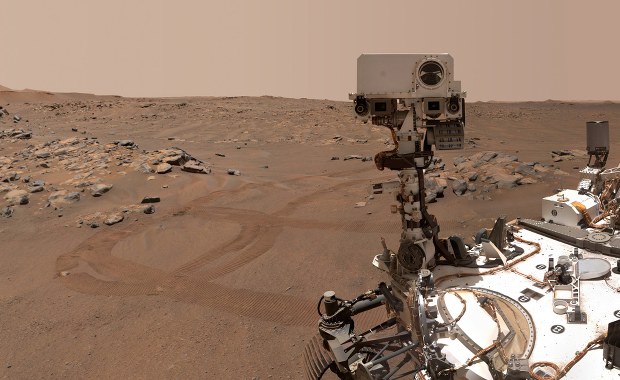 "Małe drzewo" na Marsie. Kolejny sukces łazika Perseverance 