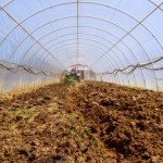 Małe szklarnie z podatkiem, ogromne tunele bez zobowiązań. RPO chce wyjaśnień