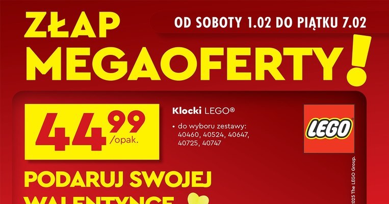 Małe zestawy kwiatów LEGO w Biedronce /Biedronka /INTERIA.PL