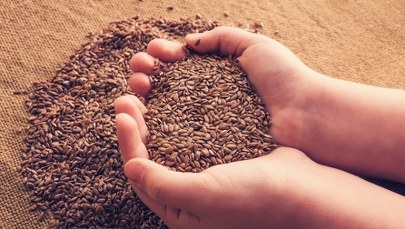 Małe ziarenka - duże możliwości. Także ochrona przed nowotworami