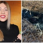 ​Małgorzata Borysewicz z „Rolnika” pokazała zdjęcia z porodu. „Brzydzę się osobiście”