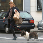 Małgorzata Foremniak na spacerze z psem za 2,5 tys. złotych!